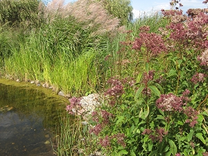 Wiederhold Garten Langerwisch Foto Brandt